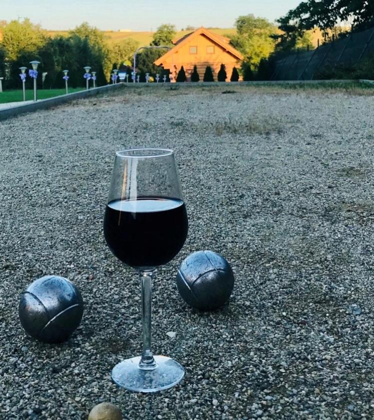 Active Wellness hotel U zlaté rybky Vyškov Exteriér fotografie